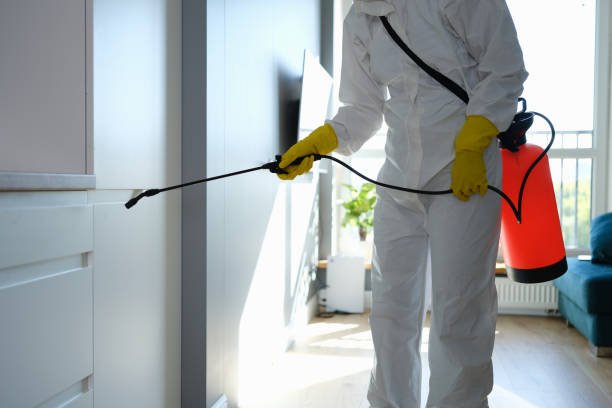 Best Mold Removal Specialists  in Middleburg, PA
