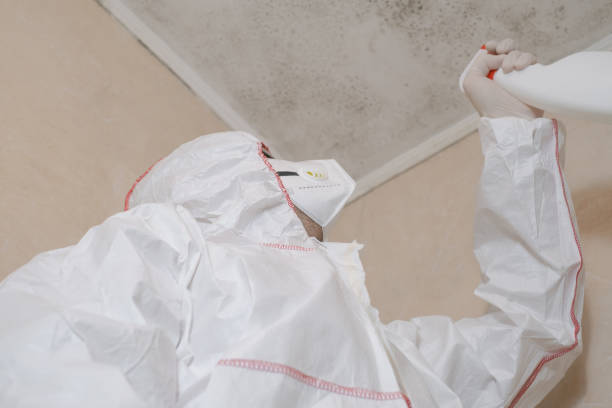 Best Professional Mold Removal  in Middleburg, PA